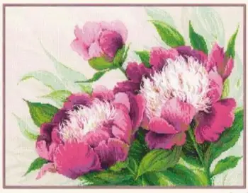 Набор для Вышивания Крестиком Amishop Gold Collection Розовые Пионы Peony Flower Flowers 100-039