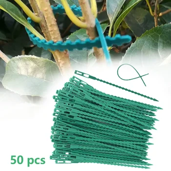 50шт Регулируемых пластиковых кабельных стяжек для растений, Многоразовые кабельные стяжки для поддержки лазания по деревьям в саду, Зажим для стебля помидора